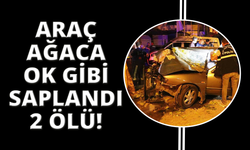 Doğum günü kutlamasından dönen araç 2 gence mezar oldu