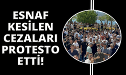 Marmaris'te Kapalıçarşı Esnafı kesilen cezaları protesto etti