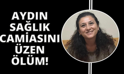 Seyir halindeki minibüsten düşen ebe hayatını kaybetti