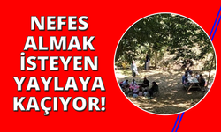 Aydın’da yaylalar cazibe merkezi oldu