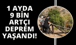 Sındırgı'da bir ayda 9 bine yakın artçı
