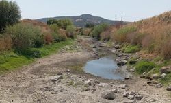 Bakırçay Ovası'nı kuraklık vurdu