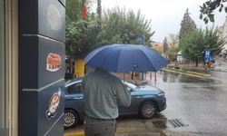 Aydın 4 ay sonra yağmur yüzü gördü