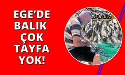 Ege'de fırtınalı mesai başladı: Balık bol, tayfa yok