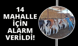 Aydın'da 14 mahalle karantinaya alındı