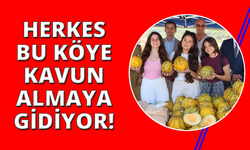 İzmir'de kavunuyla ünlü köyde festival var
