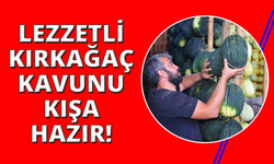 Kırkağaç kavunları klimalı, ozon makineli depolarda askıya alındı