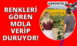 Manzara vatandaşlara yol kenarında mola verdiriyor