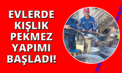 Manisa'da pekmez yapımı başladı