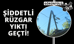 Muğla'da fırtına minareyi yıktı, ağaçları söktü