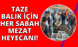 Gece avlanan balıklar, sabah mezatta alıcıyla buluşuyor