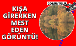 Sonbahar masalsı görüntüler ortaya çıkardı