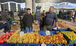 Şifa deposu hünnap tezgahlarda yerini aldı
