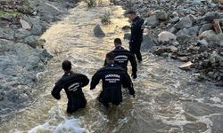 Foça'da sele kapılan kişiyi arama çalışmaları sürüyor