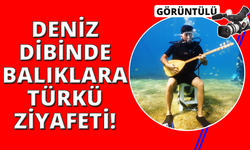 Deniz dibinde saz çalıp balıklara Neşet Ertaş türküsü dinletti