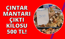 Çıntar pazar tezgahlarında yerini aldı