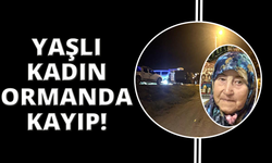 Kütahya'da 87 yaşındaki kadın ormanda kayboldu