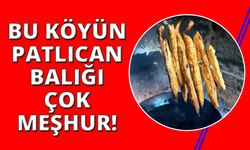 Bu köyde patlıcan et kadar kıymetli