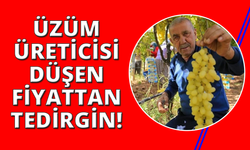 Manisa'da üzüm fiyatlarındaki düşüş üreticileri tedirgin etti