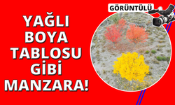 Yağlı boya tablolarını andıran sonbahar manzarası
