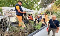 Datça’da ‘Yeşil Vatan’ seferberliği