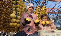 Alaşehir'de ilk kez 'Cennet Hurması Festivali' düzenlenecek