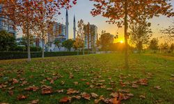 Güzelyurt sonbahar renklerine büründü