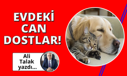 Evdeki Can Dostlarımız!