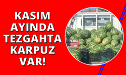 Kasım ayı geldi, karpuz tezgahtan inmedi