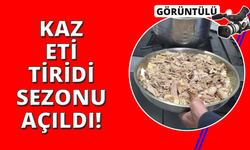 Kütahya'da 'Kaz eti tiridi' sezonu açıldı