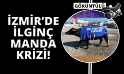 İzmir’de mandalı protesto: Okul sahibinden dikkat çeken tepki