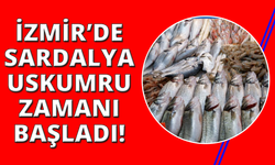 Foça Balık Hali'nde kış sezonu:"Sardalya ve uskumru zamanı"