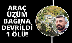 Manisa'da araç bağa devrildi can kaybı var