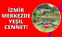 İzmir'deki botanik bahçesi 3 binin üstende bitki türüne ev sahipliği yapıyor