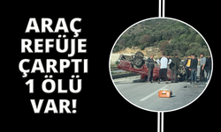 Kamyonet sürücüsü hayatını kaybetti