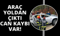 Yoldan çıkan araç ağaca çarptı; 1 ölü, 1 yaralı
