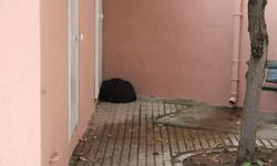 Camii avlusunda şüpheli çanta paniği