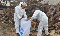 Budanan ağaç dalları ihtiyaç sahiplerini ısıtıyor
