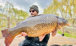 Yakaladıkları dev gibi sazan balığını suya geri bıraktılar