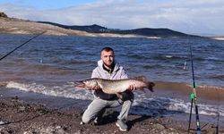 Sındırgı'da dev turna balığı yakalandı