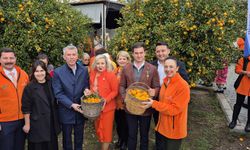 Mandalin Festivali’ne yoğun ilgi