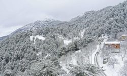 Aydın Valiliği'nden don ve buzlanma uyarısı