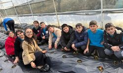 Gördes’te çilekler engelliler için yetişecek