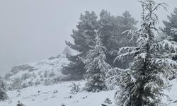 Muğla'da Göktepe beyaza büründü