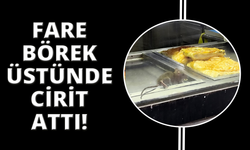 İzmir'de börek tezgahlarında fare cirit attı
