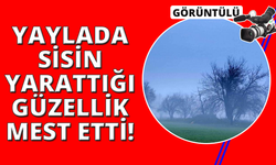 Menteşe Karabağlar yaylasında kartpostallık sabah