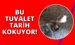 Bu tuvalet ‘tarih' kokuyor