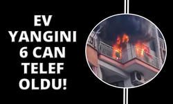 Manisa’da ev yangını: 6 kedi telef oldu