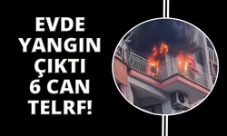 Manisa’da ev yangını: 6 kedi telef oldu