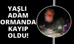 Mantar ararken kaybolan 70 yaşındaki adamı arama çalışmaları sürüyor